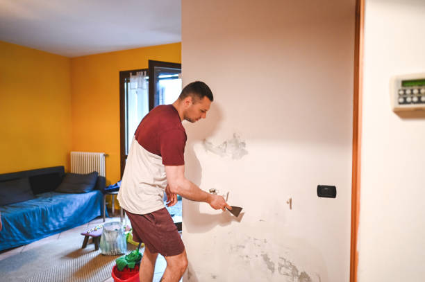 Best Mold Removal Company Near Me  in Basin, WY
